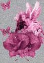 Rose Fairy