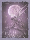  fairy