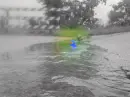 rubber ducky drowning