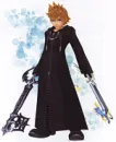 orginization 13 roxas