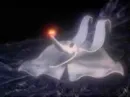 zero