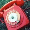 phone