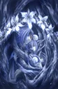 moon flowers