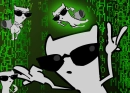 matrix foamy