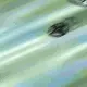 neji