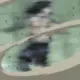 neji