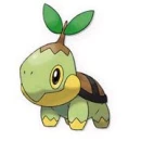 Turtwig awwwwwwww!