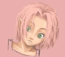 sakura