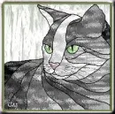 gato