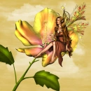 Fairy
