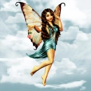 Fairy