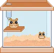hamster
