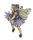 Purple little faery