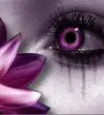 eye