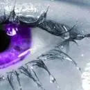 eye