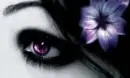 eye