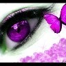 eye