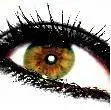 eye