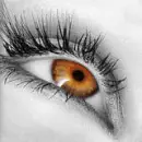 eye