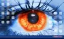 orange eye