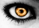eye