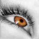 eye