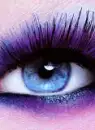 eye