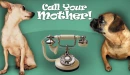 CALL YOUR MOTHER