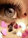 eye
