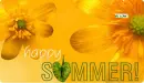 HAPPY SUMMER