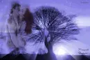 passionate embrace