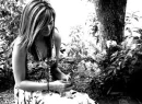 love me, love me not