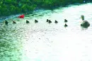 duck pond
