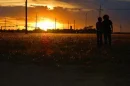 young fields of love