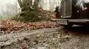 taxi in forest