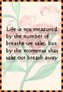 How life's Measured