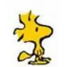 woodstock