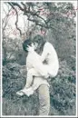 Kiss in the Rain [[2]]
