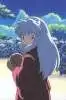 inuyasha