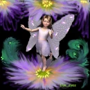 Purple pixy