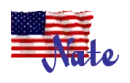 Nate - American Flag