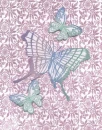 Butterfllies