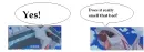 Funny Dialga and Palkia