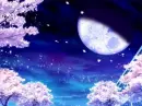 The moon