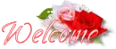 welcom