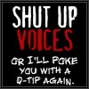 voices
