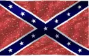Rebel Flag