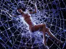 Spider net