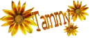 ~Tammy Sunflower~