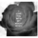 love rose